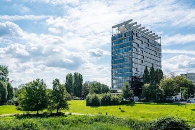 Immpact Ontwikkeling