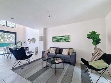 Immpact - Pop Up Kantoor Zimmerpark