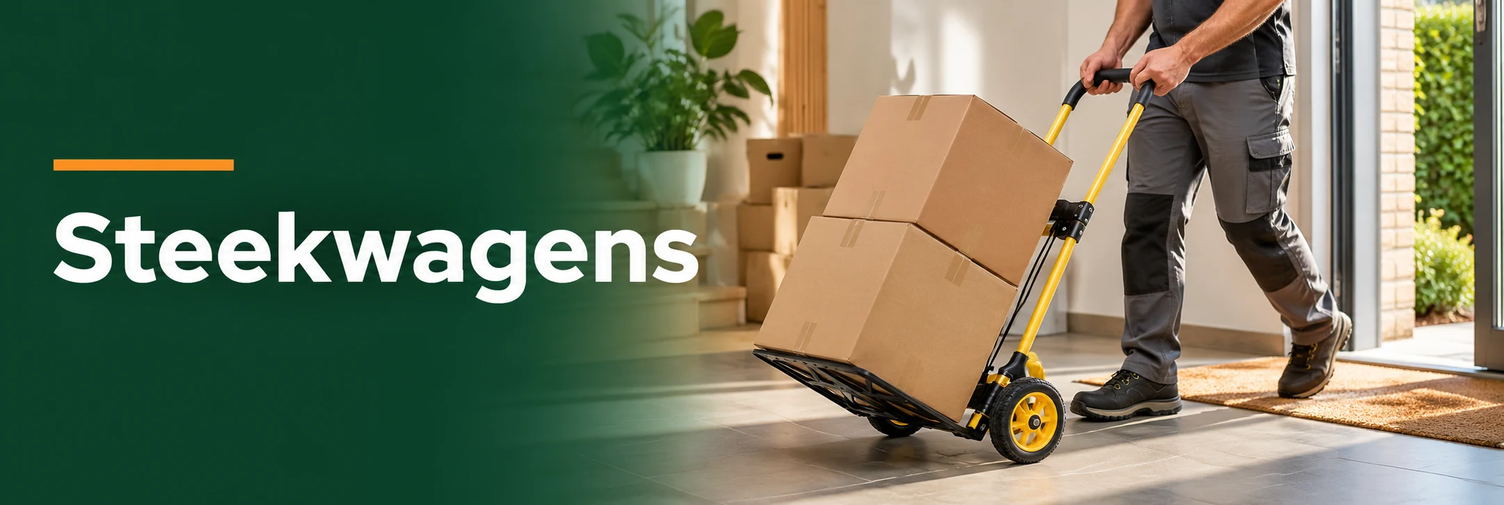 Steekwagens in een geïllustreerde gebruikssituatie